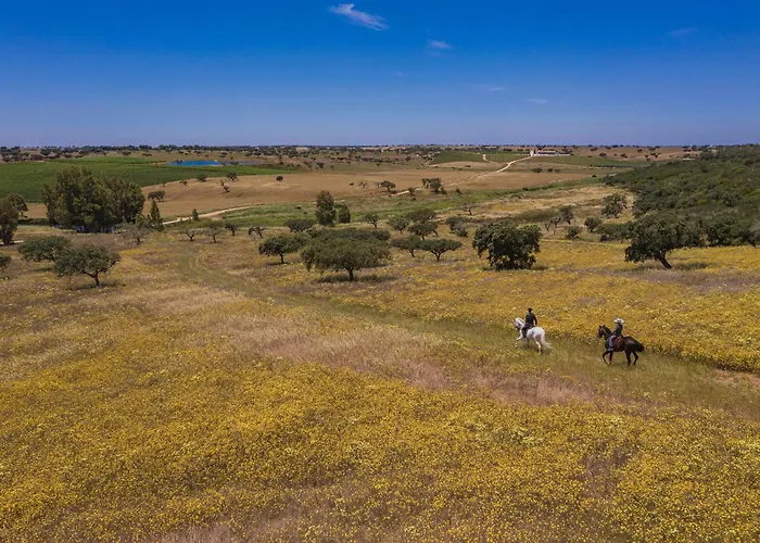 Herdade da Malhadinha Nova - Relais&Châteaux